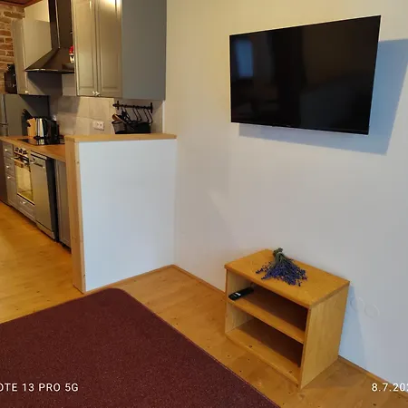 Apartamento Renata Běloves *