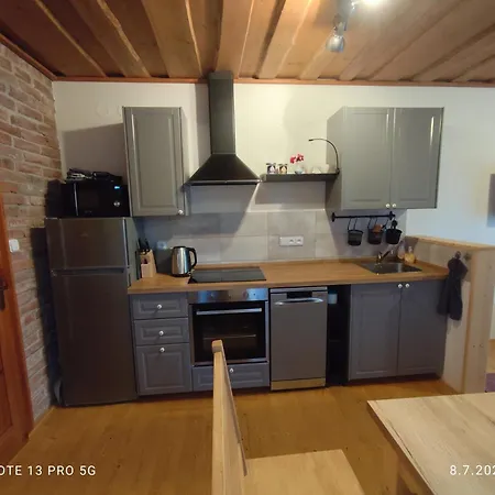 Apartamento Renata Běloves *